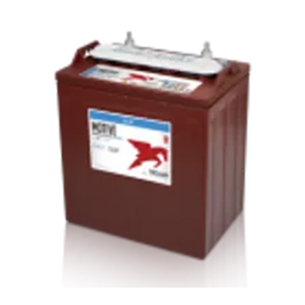 DC-8V-Deep-Cycle-Flooded