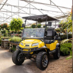 V4L golf cart model with sleek design and advanced features in Nassau, Bahamas